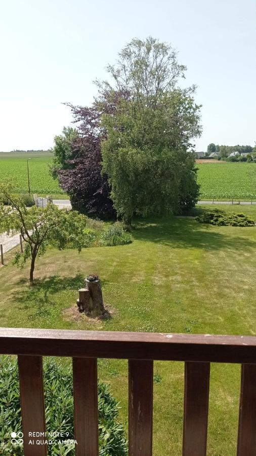 La Bella 12 - Appartement Gite Dans Maison D'Hotes Bordeaux-Saint-Clair Eksteriør bilde