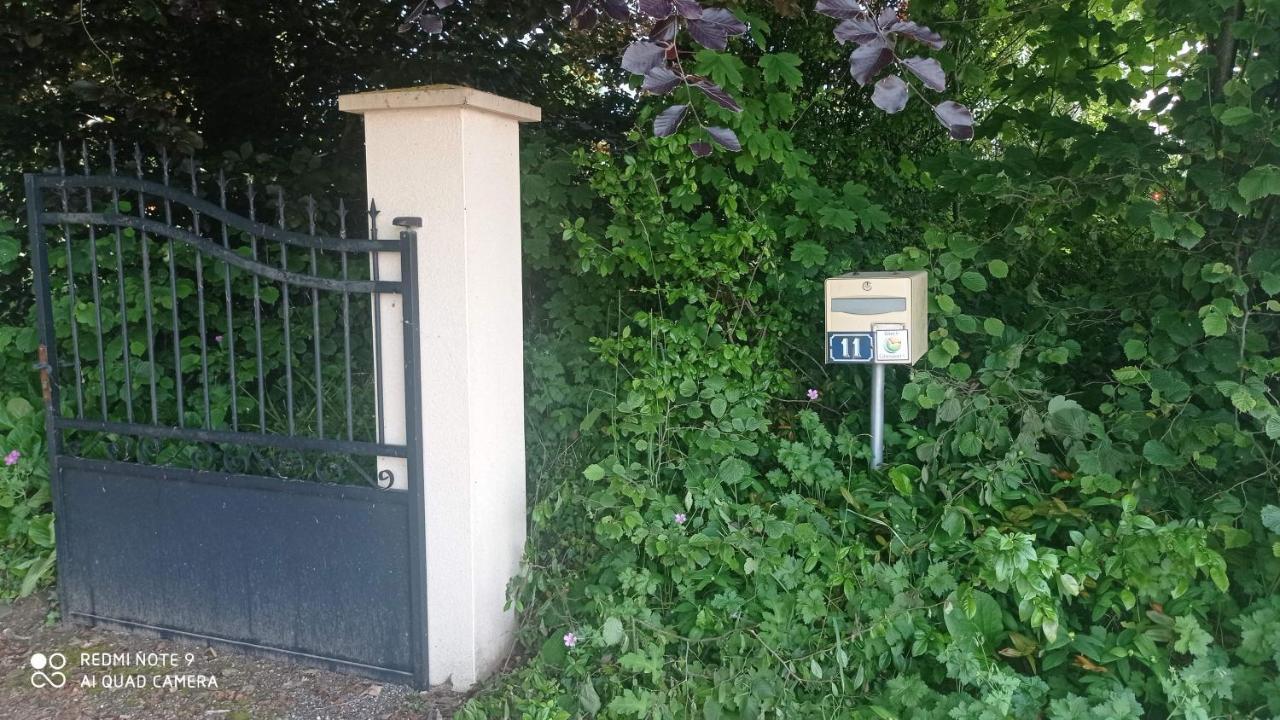 La Bella 12 - Appartement Gite Dans Maison D'Hotes Bordeaux-Saint-Clair Eksteriør bilde