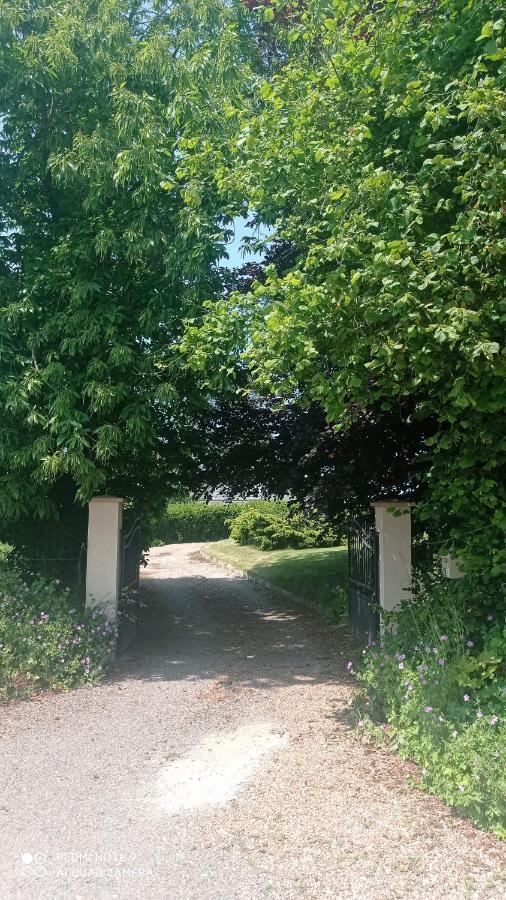 La Bella 12 - Appartement Gite Dans Maison D'Hotes Bordeaux-Saint-Clair Eksteriør bilde
